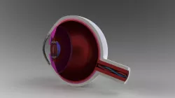 Human Eye Model
