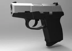 Kel Tec P11 Pistol
