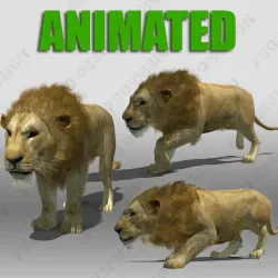 Lion Animated 3D model
