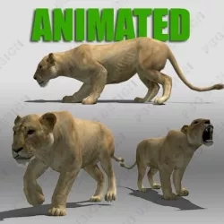 Lioness Animated Low-poly  3D model