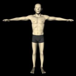 male asian models 【 STLFinder
