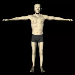 Male Asian 3D model