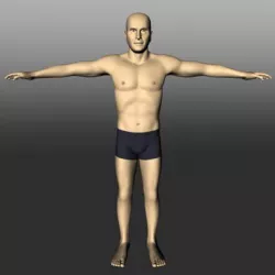 Male White 3D model