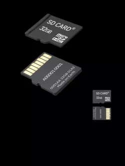 Micro-SD Card