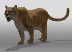 Mountain Lion 3D model