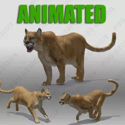 Mountain Lion Animated 3D model