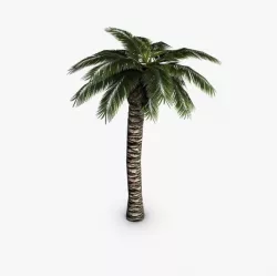 Palm tree Low-poly  3D model