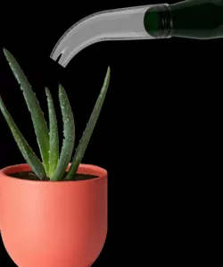 Planter Head for Beer Bottles