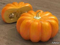 Pumpkin 3D model