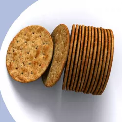 Salty cracker biscuit 3D model