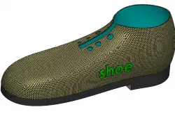 shoe
