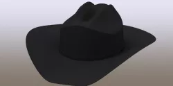 Stetson Hat