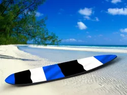 Surfboard (requested) 
