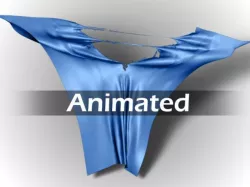 Torn Cloth 3D model