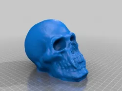 vampire skull bank JE
