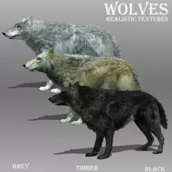 Wolf Animated Low-poly  3D model