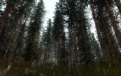15 Pine Tree Models For Games Low-poly  3D model