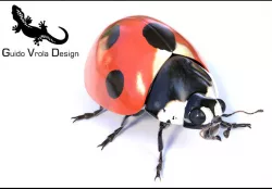 Accurate ladybug 3D model