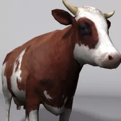 animal cow  Low-poly  3D model