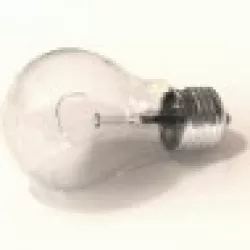 Bulb