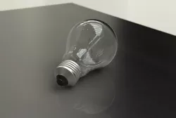 Bulb