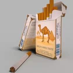 Camel mild cigarette pack 3D model