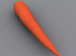 Carrot 3D model