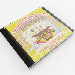 CD Jewel Case 3D model