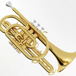 Cornet 3D model
