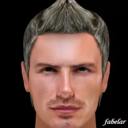 David Beckham hair 3D model