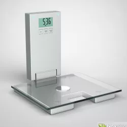 Digital Scale 3D model