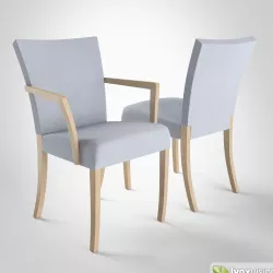 Dione Chair by Montis 3D model