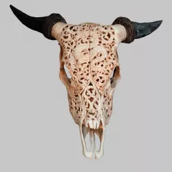 Dragon decorated Skull Low-poly  3D model