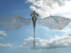 Draku beautiful wings AAA Low-poly  3D model