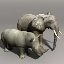 Elephant and Rhino Low-poly  3D model
