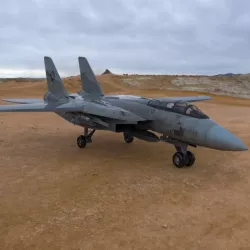 F 14 Tomcat 3D model