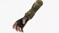 FPS Hand Low-poly  3D model