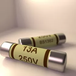 Fuses 3D model