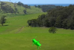 GrassHopper
