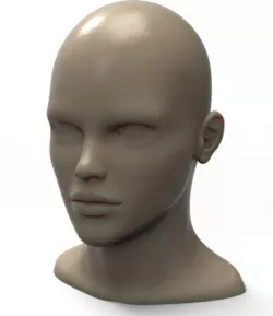 Head Model