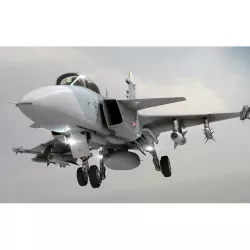 JAS 39 Gripen Jet 3D model