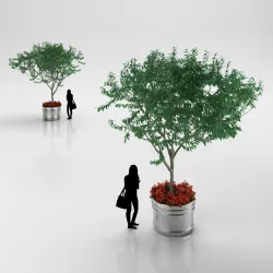 Large Leaf Tree in Steel Pot 3D model