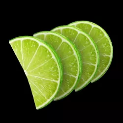 Lemon Slice 3D model