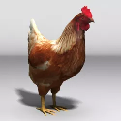 Lowpoly Hen Low-poly  3D model