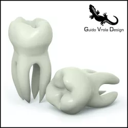 Molar Tooth 3D model