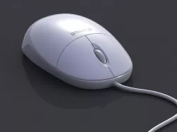 Mouse