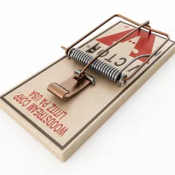 Mouse Trap 3D model