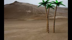 Palm