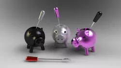 Pigs