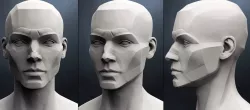 Planes of the head - Female 3D model